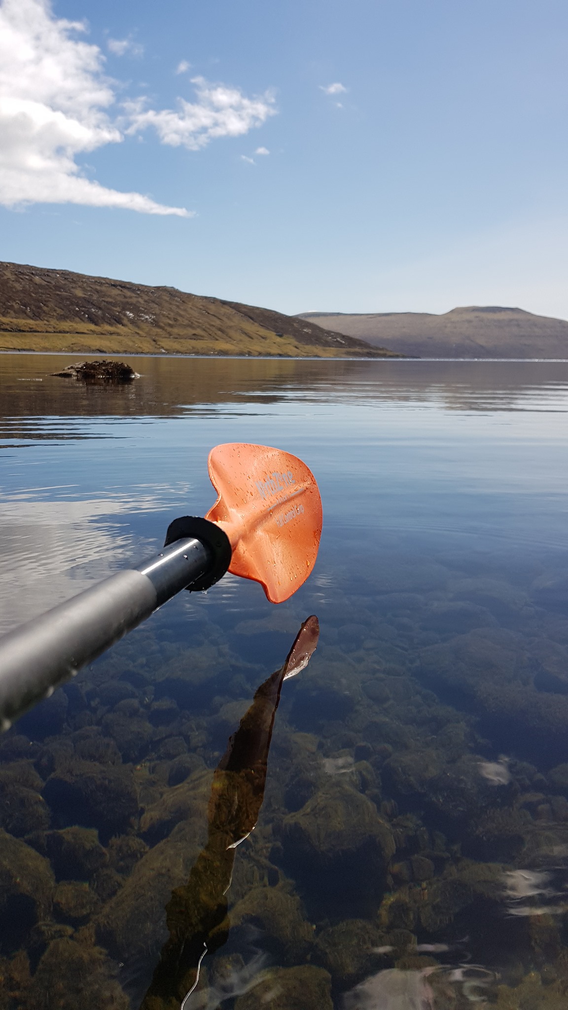 277760578_469915068260340_6411390236659859110_n