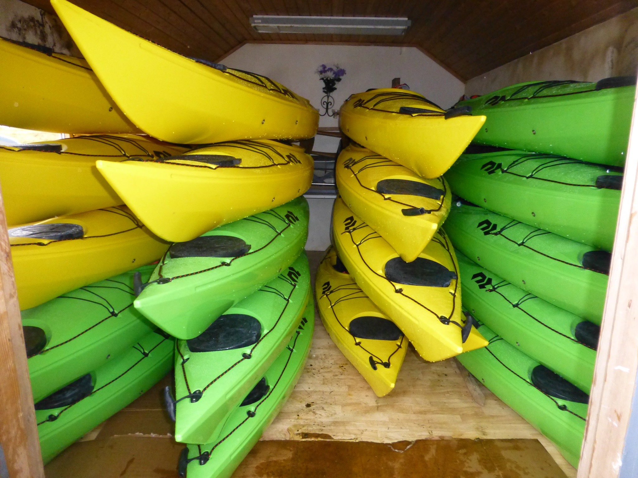 60866291_395480857712196_4016960260567728128_n