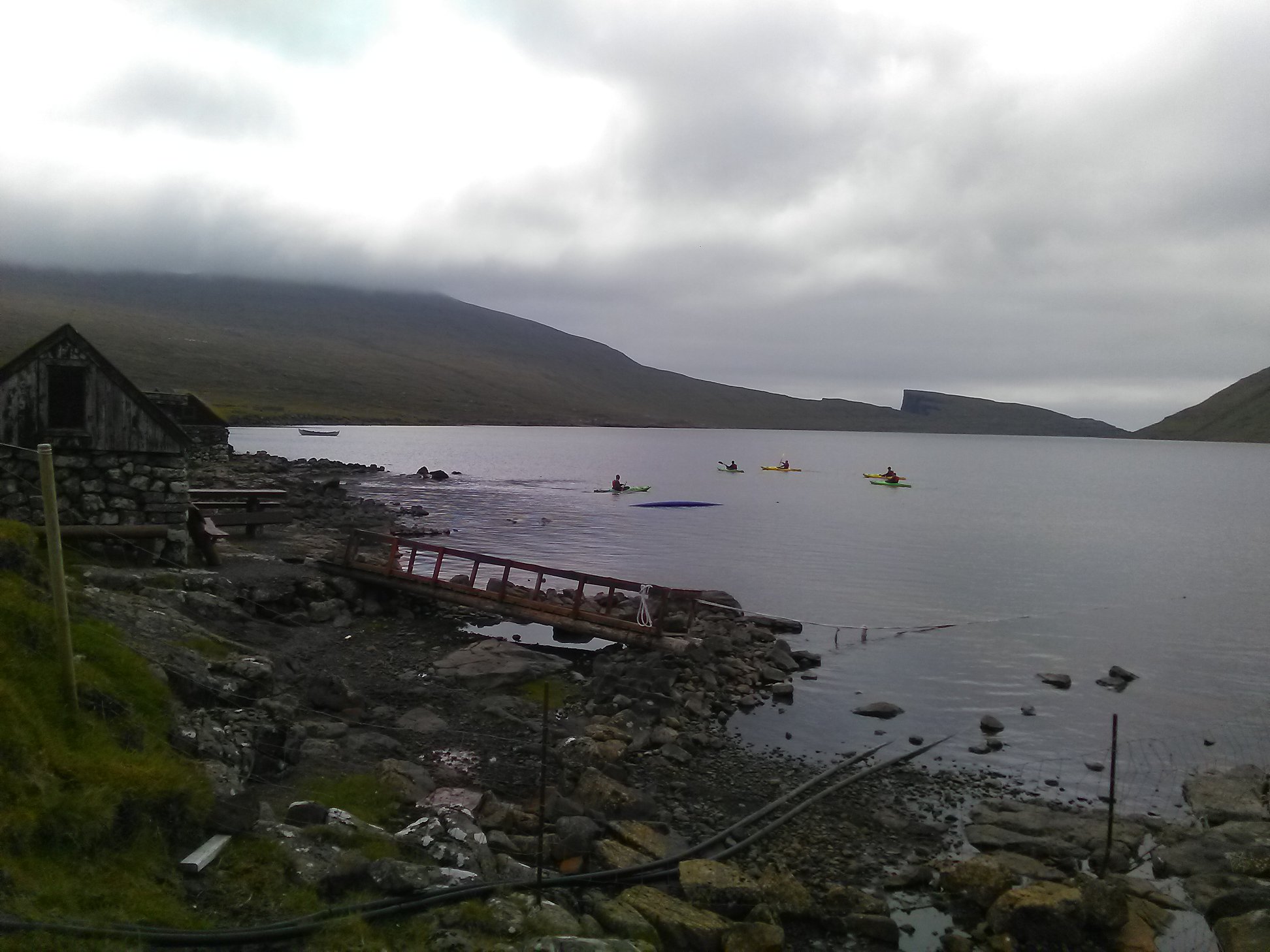 64741055_422332431693705_4073902614855548928_n